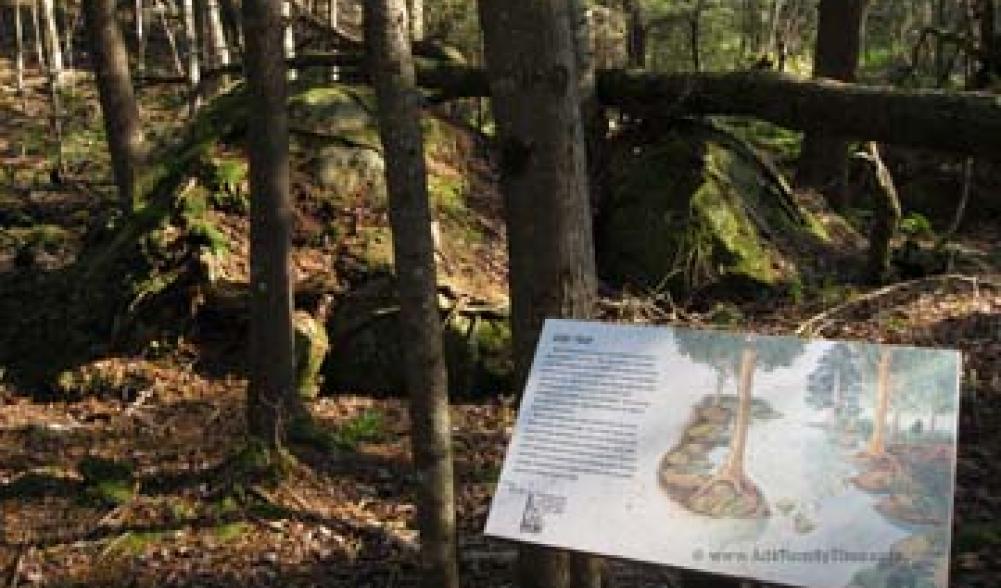 Brewster peninsula interpretive sign