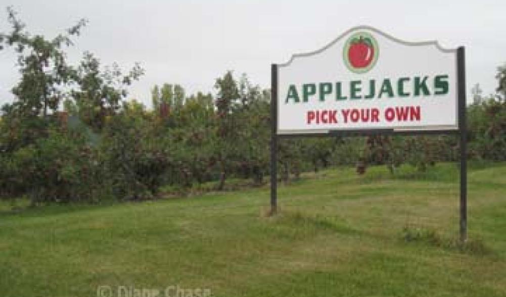 Applejacks Orchard Peru Pick Your Own Apples
