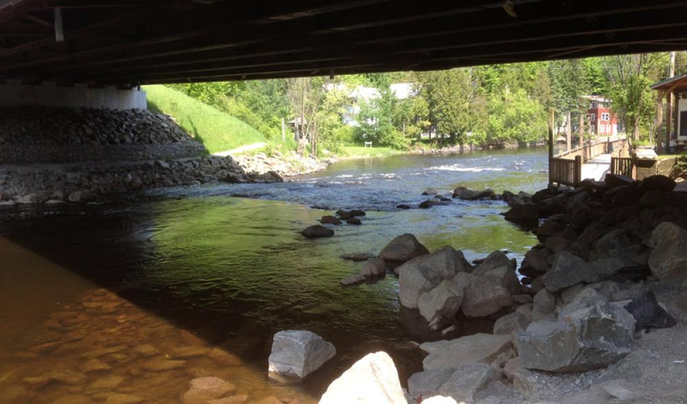 Saranac rapids