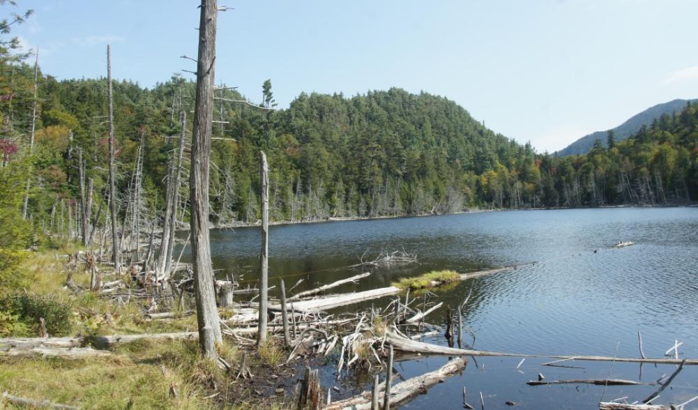 Winch Pond