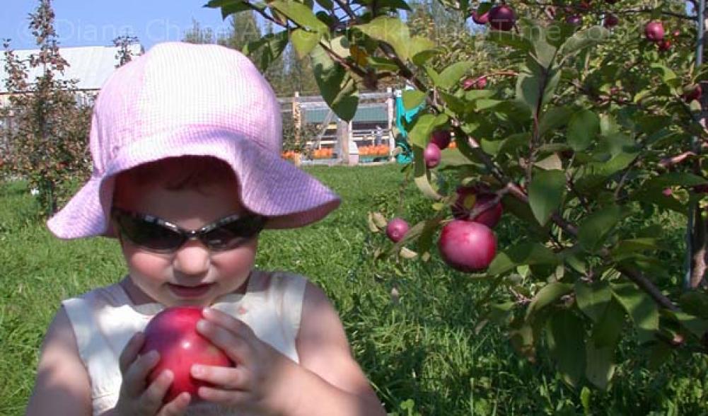 girl holding apple Bankers