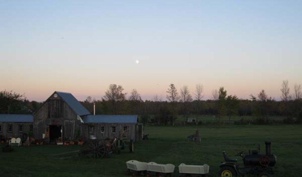 tractor train ride