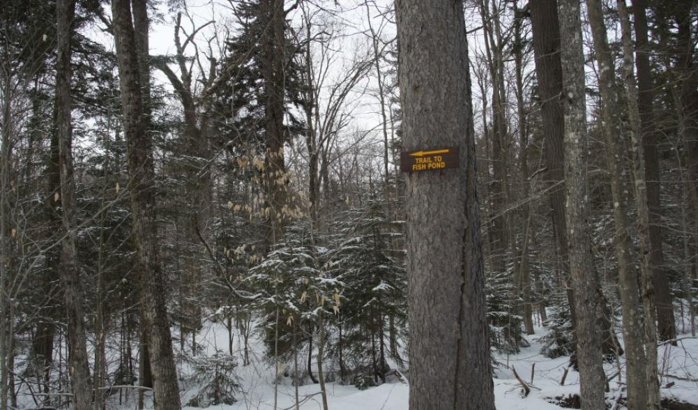 Fish Pond Sign