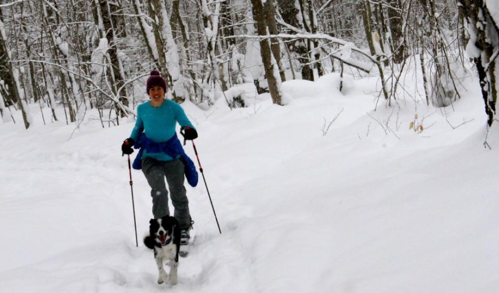 Lake Placid can be a powder paradise for both 2 and 4-legged skiers