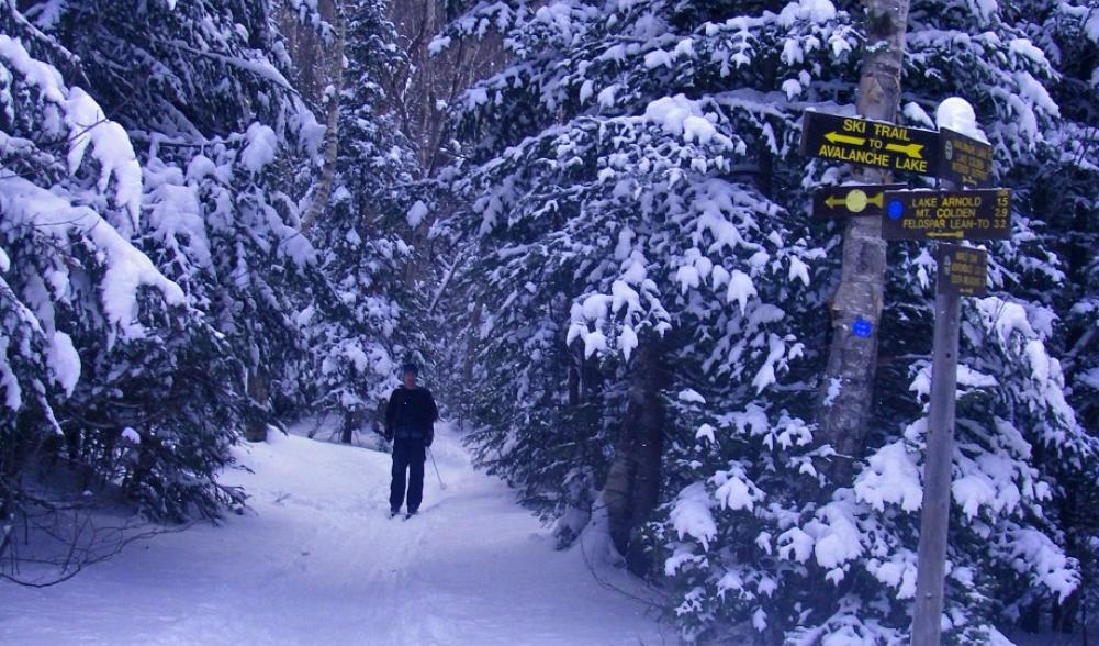 A skier finishes the descent from the top of Avalanche Pass