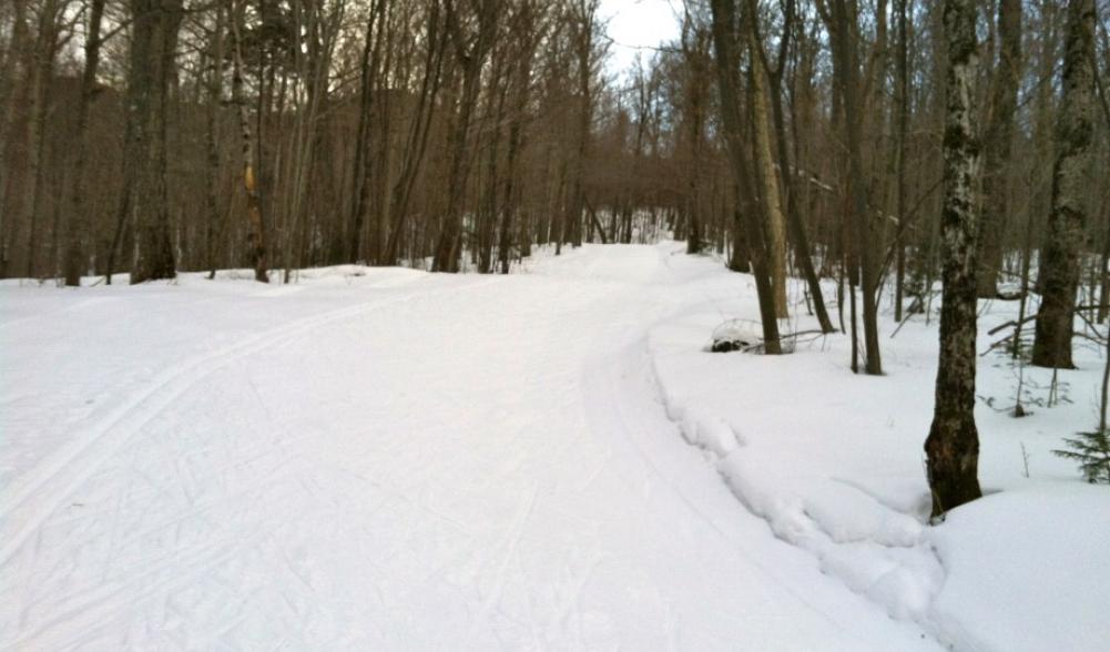 A very common sight on the Porter Mountain Loops, climbing