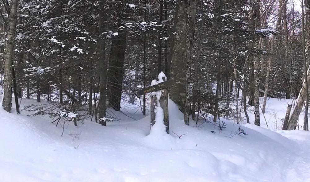 Trail sign on the Algonquin Trail side