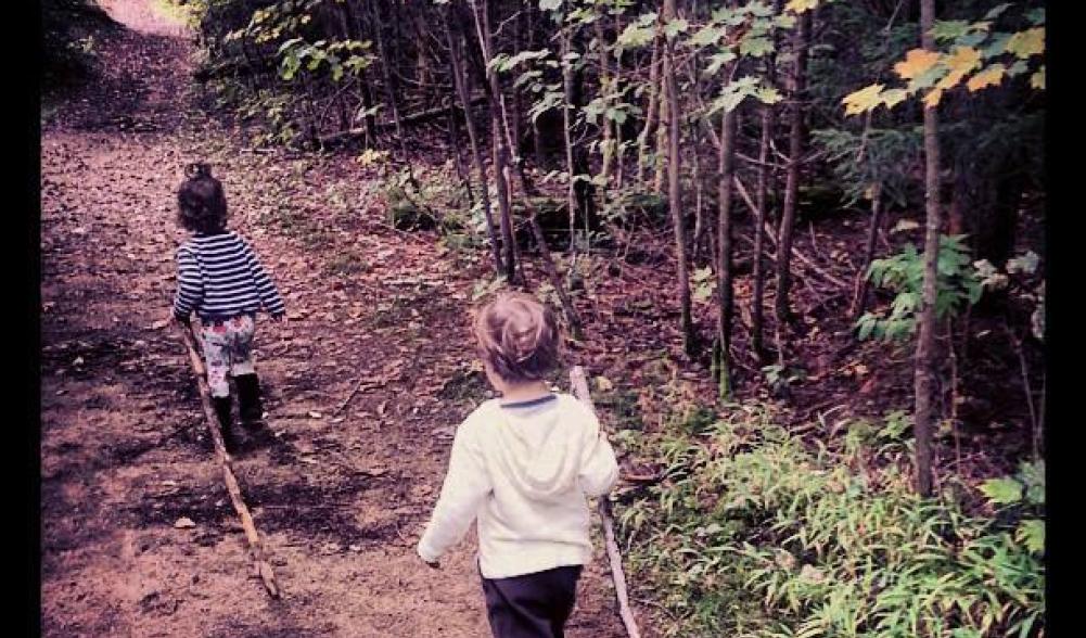 Hiking toddlers