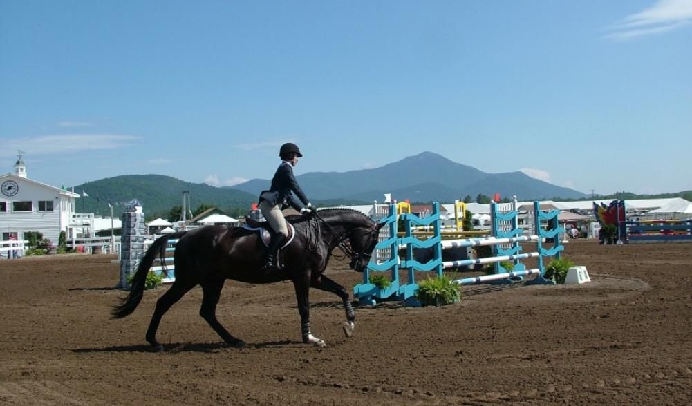 Equestrian show jumping at Lake Placid Horse Shows