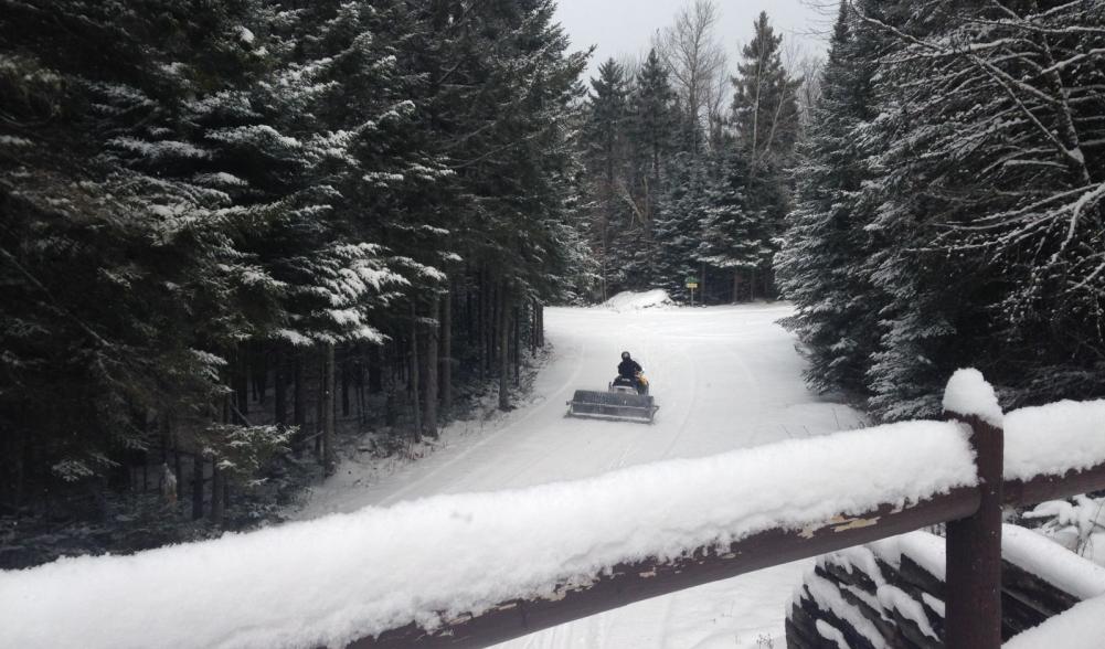 Groomers at work from bridge