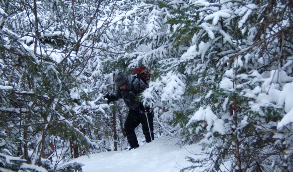 Snowshoeing up the Fire Warden Trail