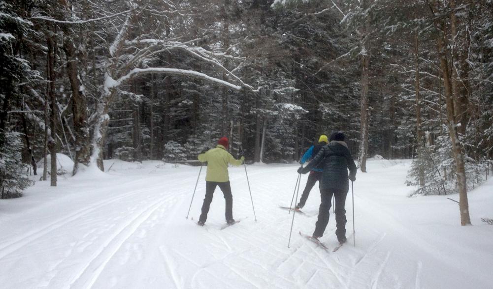 Beginner class in skate skiing