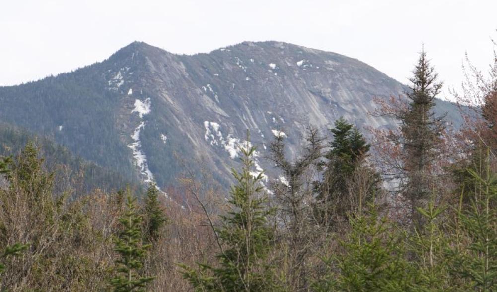 The view of Gothics from Johns Brook Lodge