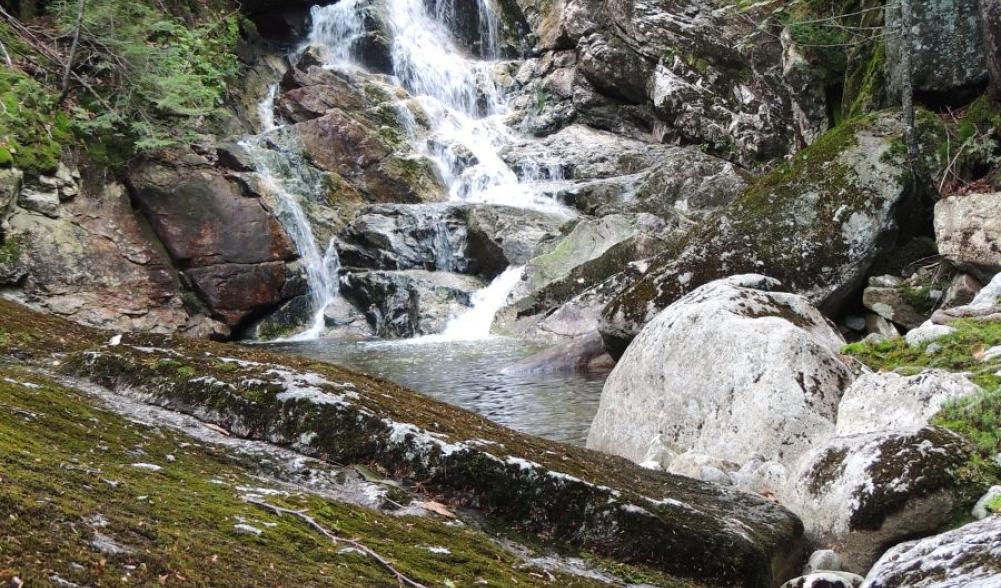 Heading up Wallface Brook