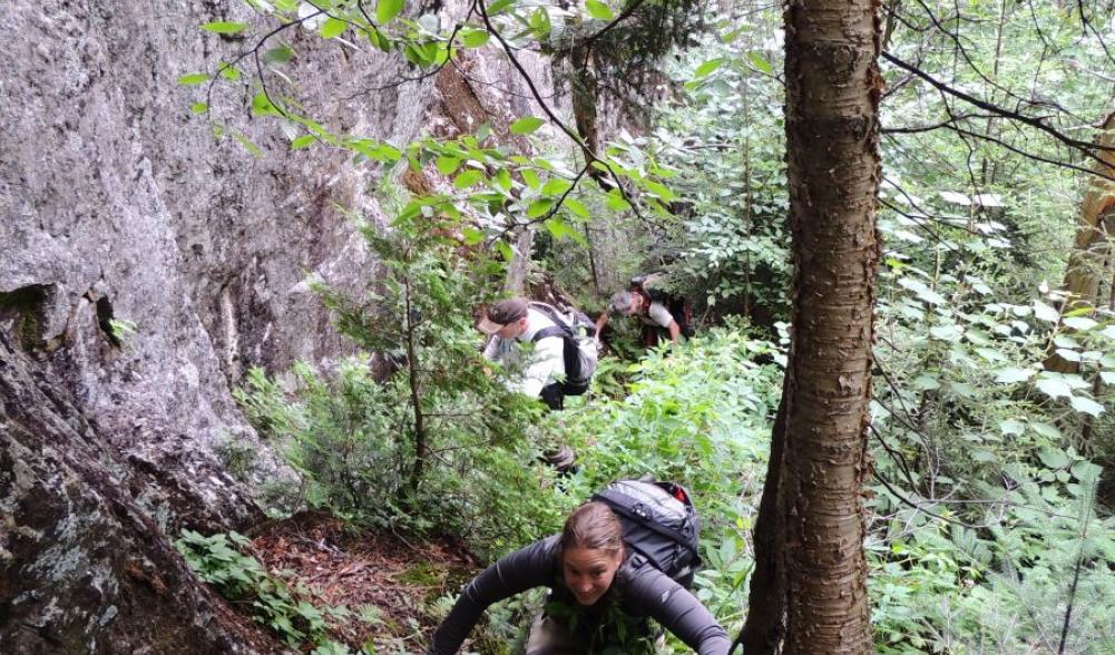 A the steep slopes near the cliffs