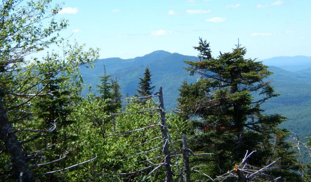 View from near summit