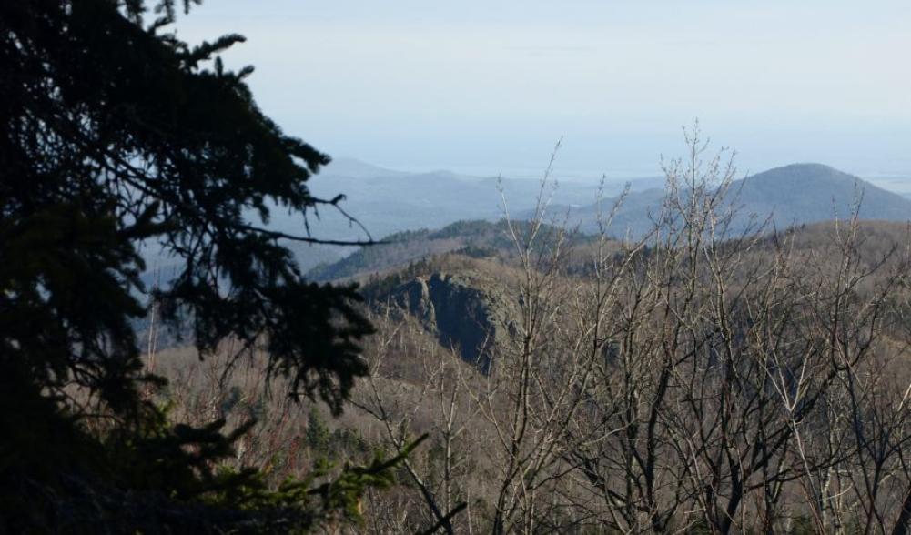 Owls Head Lookout from the ridge