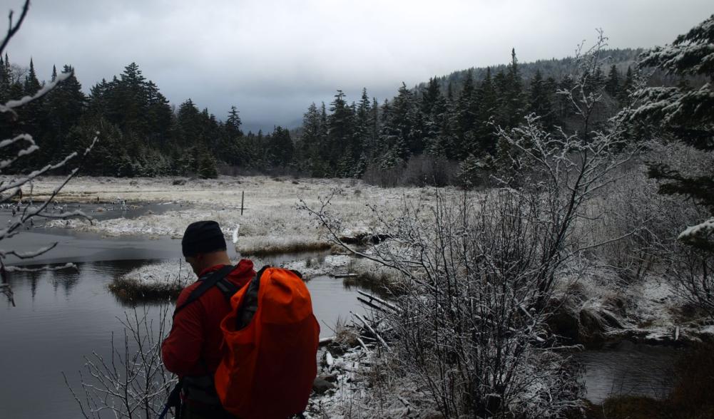 Mike back at the beaver pond