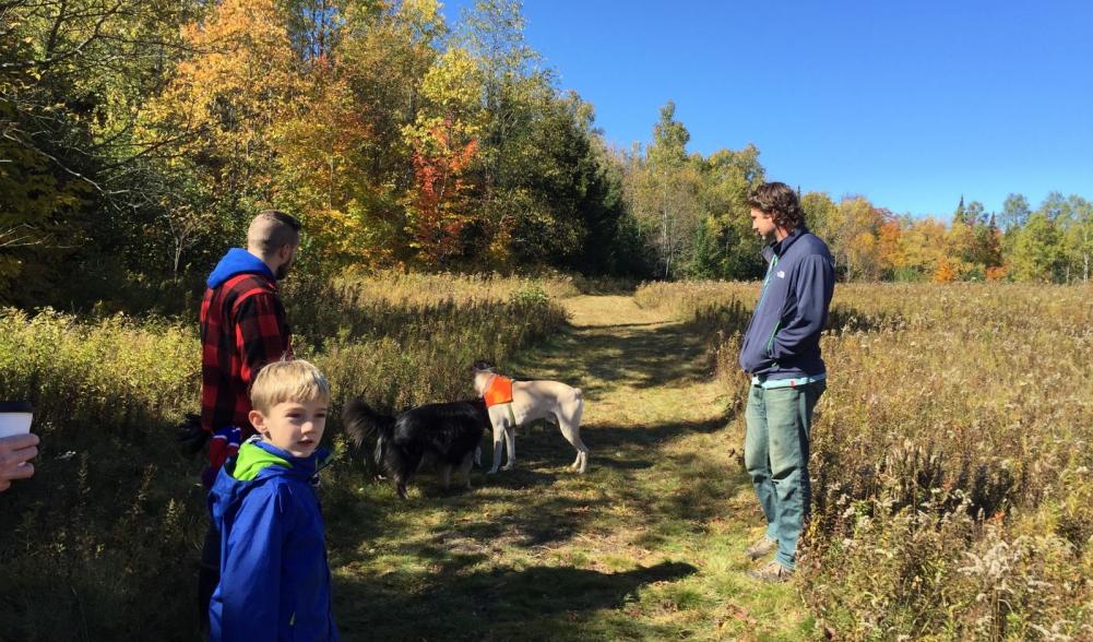 Kids, dogs, fields, views... awesome!