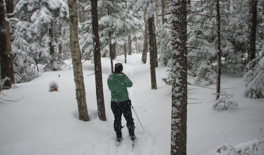 A cross-country skier on the Peninsula Trails covered in snow