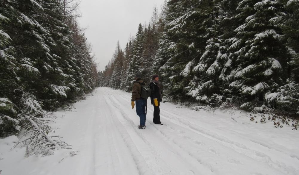 John & Terese Hart listening for birds on Bigelow Road