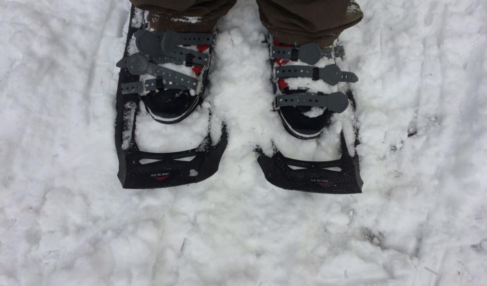 A pair of snowshoes always helps, rent a pair in town if needed.