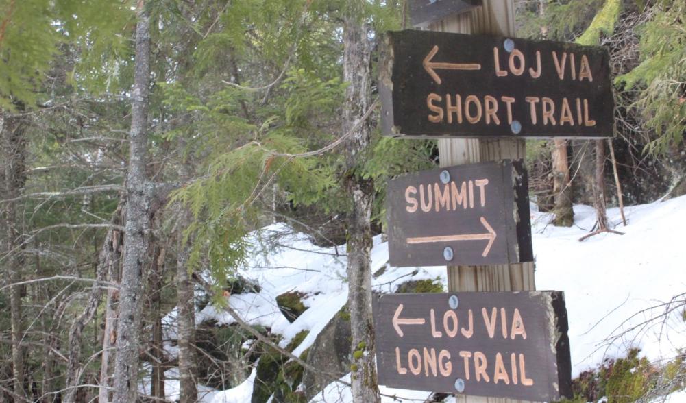 Signs for hiking trails in upstate NY with pine trees and snow in the background