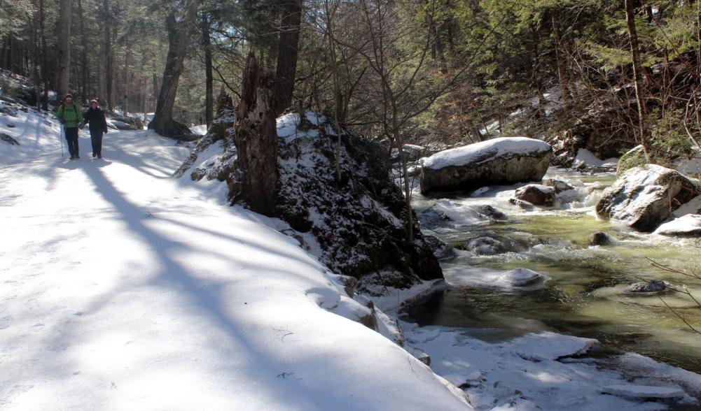 Lake Road maintains a steady grade as it climbs toward Lower Ausable Lake.