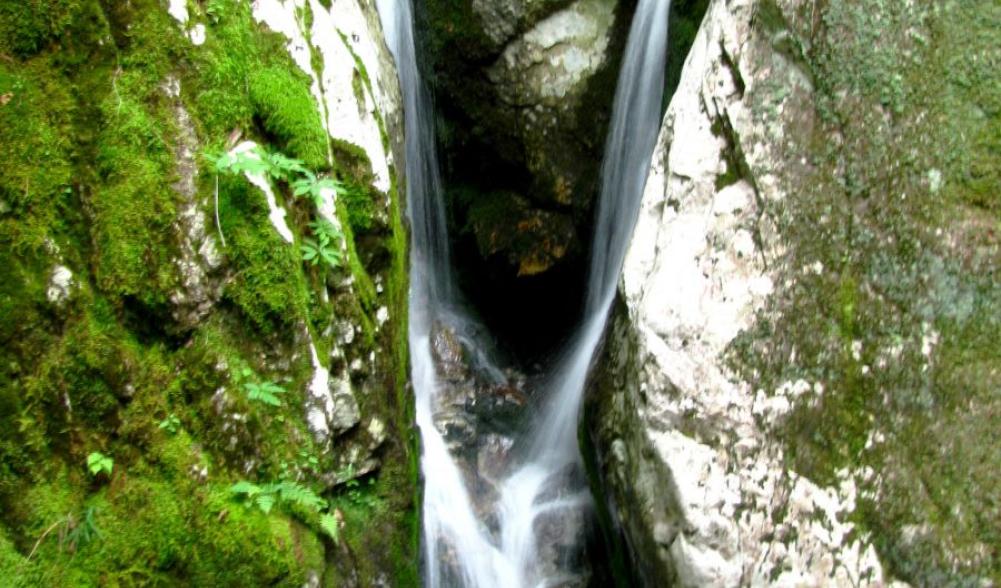 The Flume has a tropical feel in the summer.