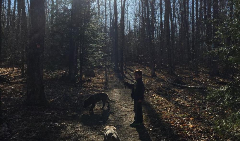 A walk in the woods (blue trail), soon turns into a run in the fields (orange trail). Best of both worlds!