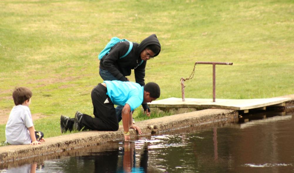 There's plenty of history, natural beauty, and tadpoles at John Brown Farm.