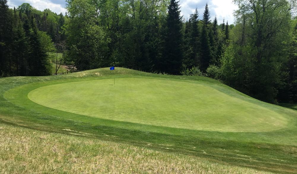 Greens at Craig Wood Golf Course are in spectacular shape!