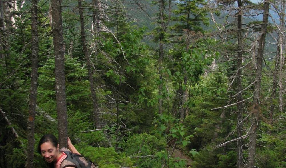 Anna hikes up the unmaintained trail to Seward's summit.