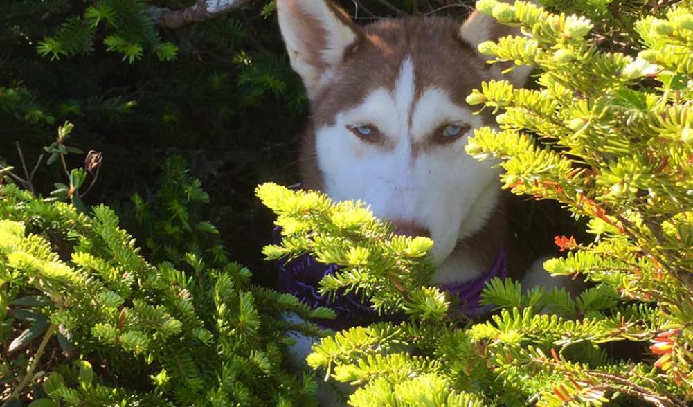 She found some shade from the sun for a quick break along the trail.