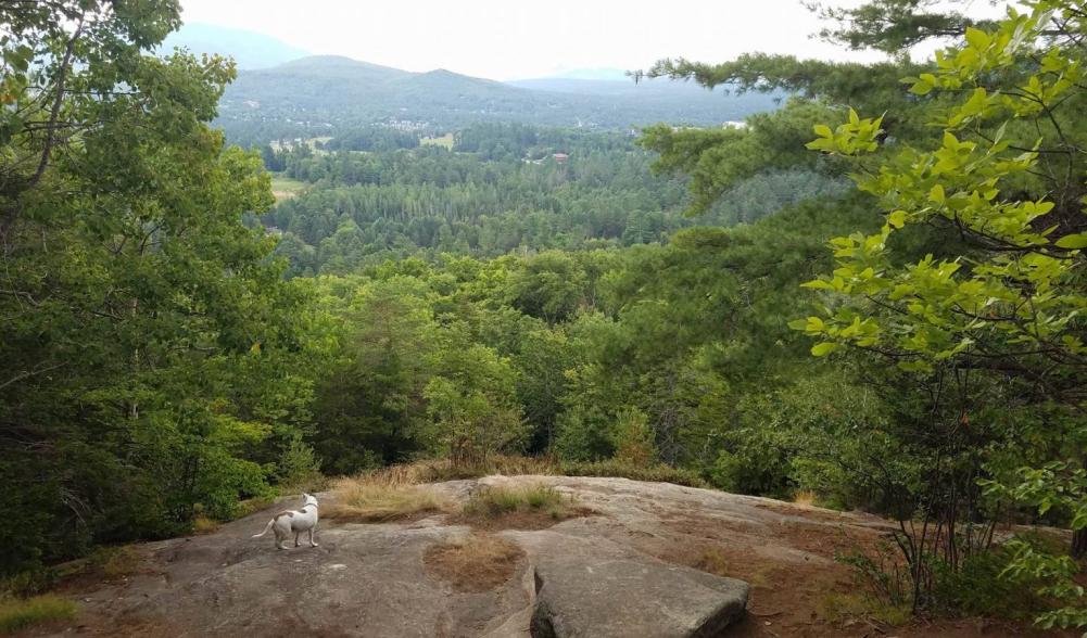 Sam taking in the view from the rock face on our way down