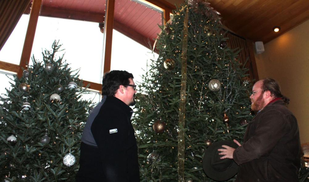 Dan and Glenn are dwarfed by the Golden Arrow's gigantic tree.