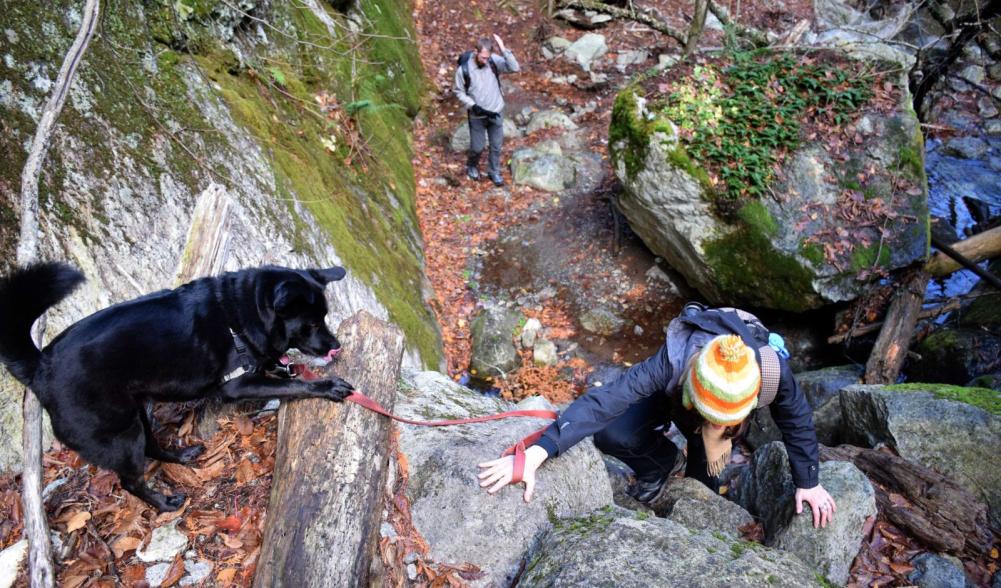 There are several steep sections in Deer Brook Gorge.