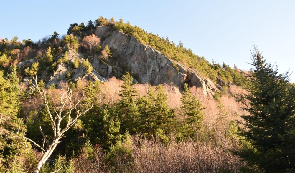 Spectacular cliffs rise from the forest along Old Mountain Road.