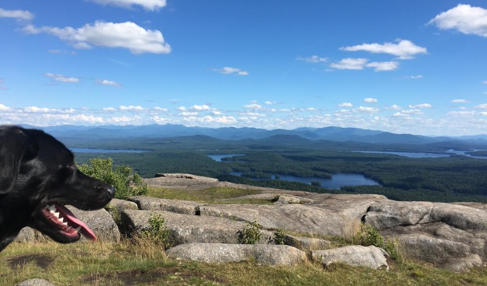 Summit of St. Regis Mountain