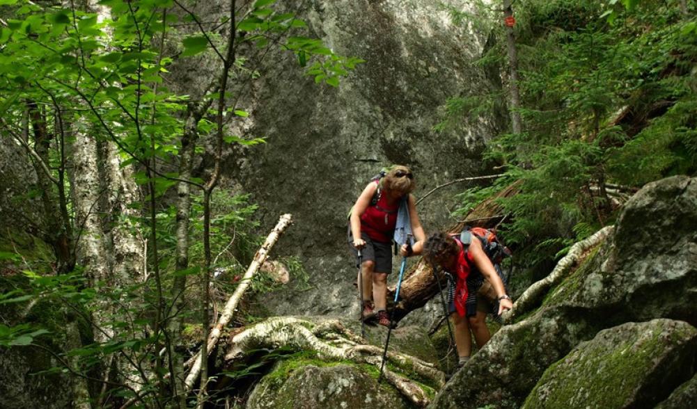 Hiking in Indian Pass.