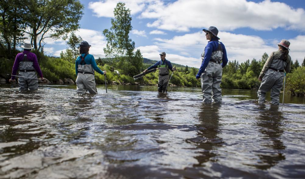 Five people in fishing waders walk through a shallow area of river.