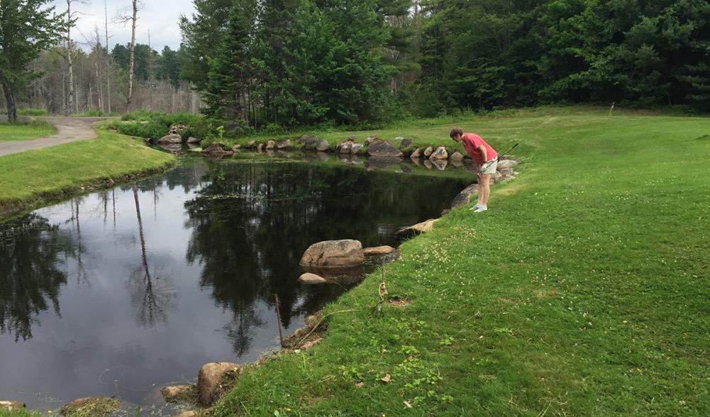 This pond is a magnet for golf balls.
