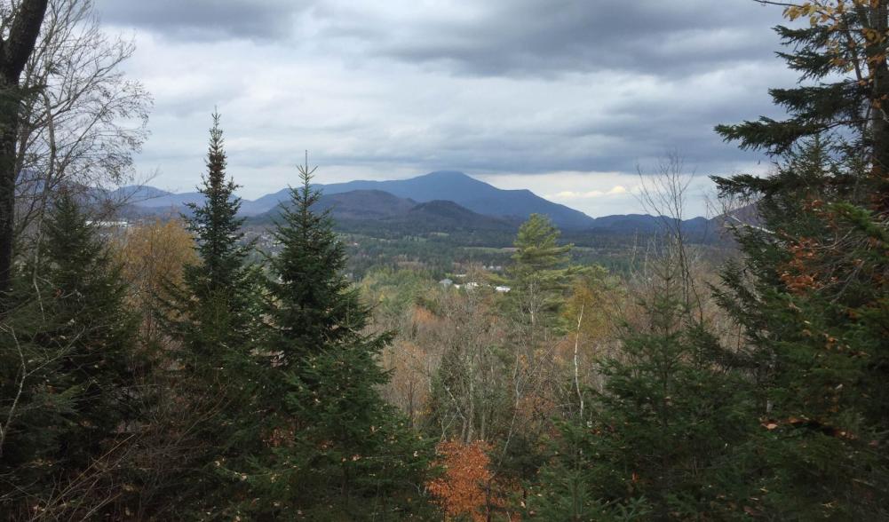 One of the many fabulous views from Henry's Woods.