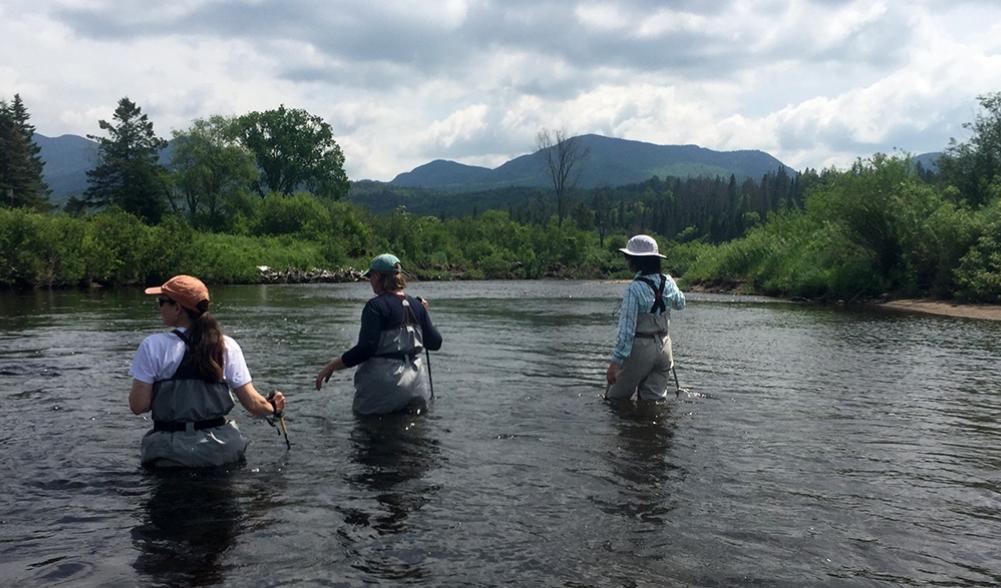 Walking with the current in the Ausable River.