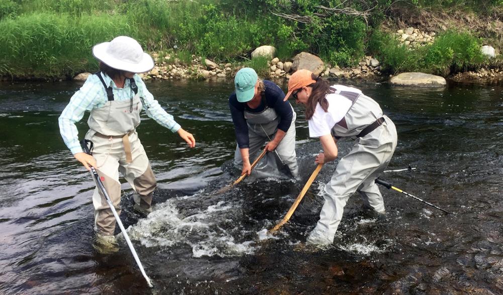 Science: collecting life from the river.