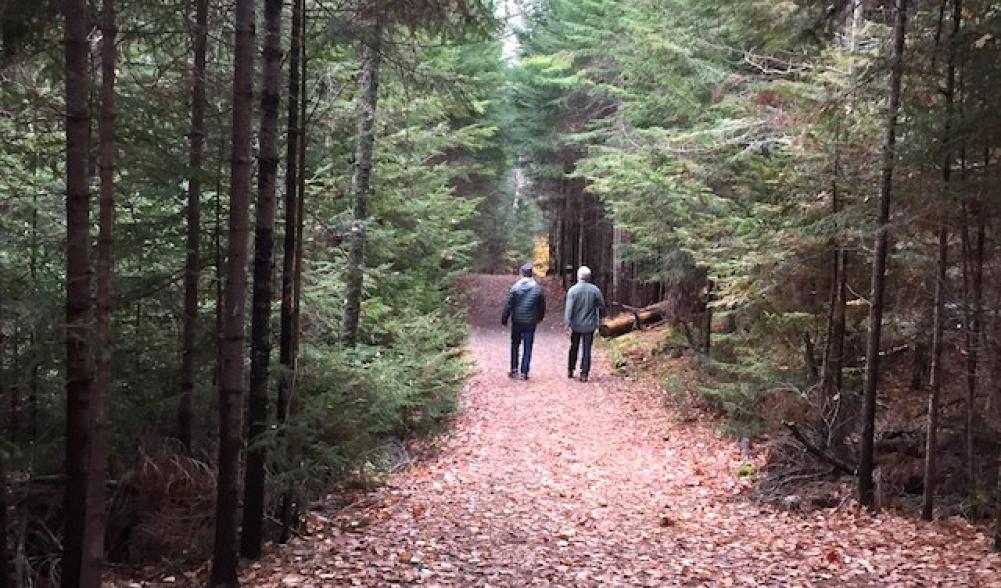 Hiking is a great activity for light conversation or deep sharing.