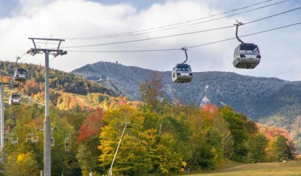 Cruise above the leaves with a 360 degree view.