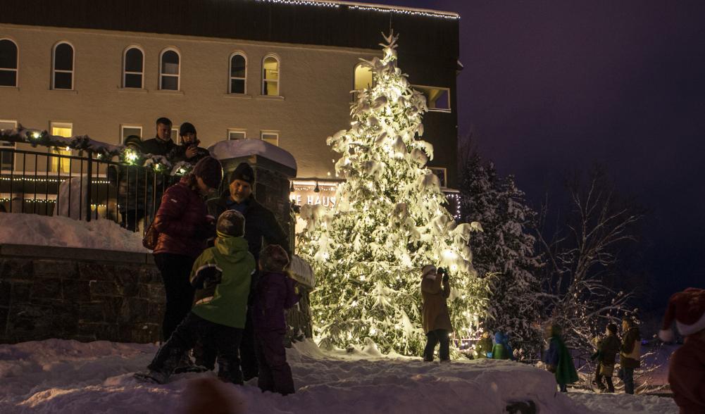 Children and adults play in the snow in front of a large tree covered in snow and white lights.