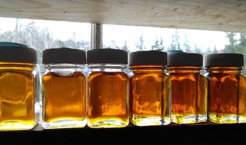 Learn the different densities, and flavors, of the maple syrup grades.