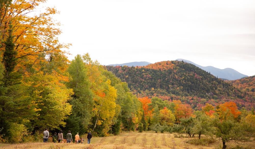 A group of people walk on a field amid mountain fall foliage.